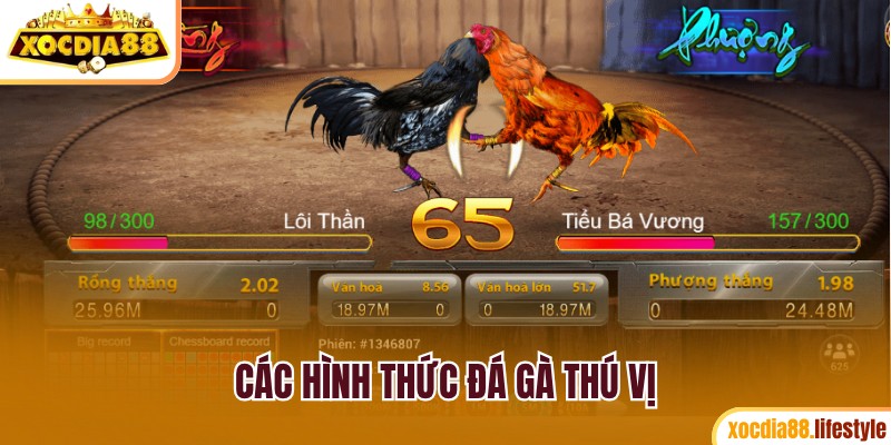 Các hình thức chọi gà thú vị